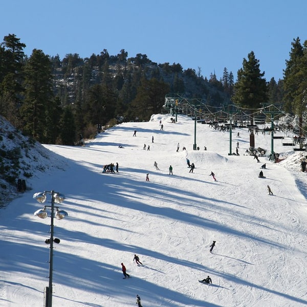 Best of Shimla Tour.jpg